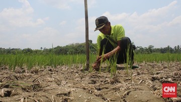 Enam Kabupaten di Jawa Timur Tetapkan Status Darurat Kekeringan